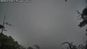 ./images/calvert/fitz-hugh-hecate/20250627/fitz-hugh-hecate20250627_200009M.jpg