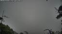 ./images/calvert/fitz-hugh-hecate/20250627/fitz-hugh-hecate20250627_200508M.jpg