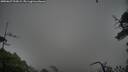 ./images/calvert/fitz-hugh-hecate/20250627/fitz-hugh-hecate20250627_203009M.jpg