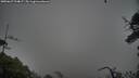 ./images/calvert/fitz-hugh-hecate/20250627/fitz-hugh-hecate20250627_204007M.jpg