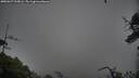 ./images/calvert/fitz-hugh-hecate/20250627/fitz-hugh-hecate20250627_205006M.jpg