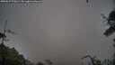 ./images/calvert/fitz-hugh-hecate/20250627/fitz-hugh-hecate20250627_210009M.jpg