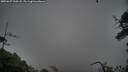 ./images/calvert/fitz-hugh-hecate/20250627/fitz-hugh-hecate20250627_210507M.jpg