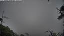 ./images/calvert/fitz-hugh-hecate/20250627/fitz-hugh-hecate20250627_211007M.jpg