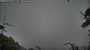 ./images/calvert/fitz-hugh-hecate/20250627/fitz-hugh-hecate20250627_211508M.jpg