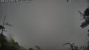 ./images/calvert/fitz-hugh-hecate/20250627/fitz-hugh-hecate20250627_212010M.jpg