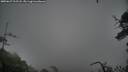 ./images/calvert/fitz-hugh-hecate/20250627/fitz-hugh-hecate20250627_212507M.jpg