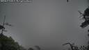 ./images/calvert/fitz-hugh-hecate/20250627/fitz-hugh-hecate20250627_213008M.jpg
