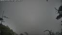 ./images/calvert/fitz-hugh-hecate/20250627/fitz-hugh-hecate20250627_213508M.jpg