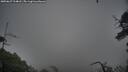 ./images/calvert/fitz-hugh-hecate/20250627/fitz-hugh-hecate20250627_214008M.jpg