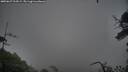 ./images/calvert/fitz-hugh-hecate/20250627/fitz-hugh-hecate20250627_214509M.jpg