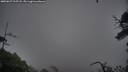 ./images/calvert/fitz-hugh-hecate/20250627/fitz-hugh-hecate20250627_215508M.jpg