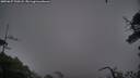 ./images/calvert/fitz-hugh-hecate/20250627/fitz-hugh-hecate20250627_220508M.jpg