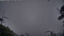 ./images/calvert/fitz-hugh-hecate/20250627/fitz-hugh-hecate20250627_221008M.jpg