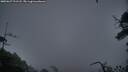 ./images/calvert/fitz-hugh-hecate/20250627/fitz-hugh-hecate20250627_221508M.jpg