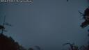 ./images/calvert/fitz-hugh-hecate/20250627/fitz-hugh-hecate20250627_223008M.jpg