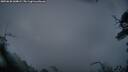 ./images/calvert/fitz-hugh-hecate/20250628/fitz-hugh-hecate20250628_044009M.jpg
