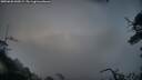 ./images/calvert/fitz-hugh-hecate/20250628/fitz-hugh-hecate20250628_044509M.jpg