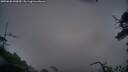 ./images/calvert/fitz-hugh-hecate/20250628/fitz-hugh-hecate20250628_045010M.jpg
