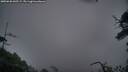./images/calvert/fitz-hugh-hecate/20250628/fitz-hugh-hecate20250628_045509M.jpg