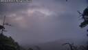 ./images/calvert/fitz-hugh-hecate/20250628/fitz-hugh-hecate20250628_051008M.jpg