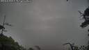 ./images/calvert/fitz-hugh-hecate/20250628/fitz-hugh-hecate20250628_052008M.jpg