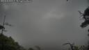./images/calvert/fitz-hugh-hecate/20250628/fitz-hugh-hecate20250628_053509M.jpg