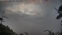 ./images/calvert/fitz-hugh-hecate/20250628/fitz-hugh-hecate20250628_054508M.jpg