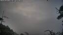 ./images/calvert/fitz-hugh-hecate/20250628/fitz-hugh-hecate20250628_060010M.jpg