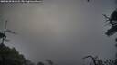 ./images/calvert/fitz-hugh-hecate/20250628/fitz-hugh-hecate20250628_061008M.jpg