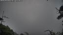 ./images/calvert/fitz-hugh-hecate/20250628/fitz-hugh-hecate20250628_062010M.jpg