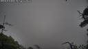 ./images/calvert/fitz-hugh-hecate/20250628/fitz-hugh-hecate20250628_064010M.jpg