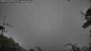 ./images/calvert/fitz-hugh-hecate/20250628/fitz-hugh-hecate20250628_064510M.jpg