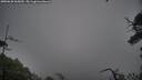 ./images/calvert/fitz-hugh-hecate/20250628/fitz-hugh-hecate20250628_065010M.jpg