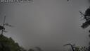 ./images/calvert/fitz-hugh-hecate/20250628/fitz-hugh-hecate20250628_070009M.jpg