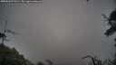 ./images/calvert/fitz-hugh-hecate/20250628/fitz-hugh-hecate20250628_071008M.jpg