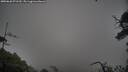 ./images/calvert/fitz-hugh-hecate/20250628/fitz-hugh-hecate20250628_071510M.jpg