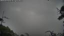 ./images/calvert/fitz-hugh-hecate/20250628/fitz-hugh-hecate20250628_072510M.jpg