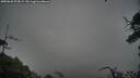 ./images/calvert/fitz-hugh-hecate/20250628/fitz-hugh-hecate20250628_073008M.jpg