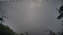 ./images/calvert/fitz-hugh-hecate/20250628/fitz-hugh-hecate20250628_074009M.jpg