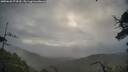 ./images/calvert/fitz-hugh-hecate/20250628/fitz-hugh-hecate20250628_074510M.jpg