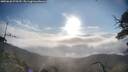 ./images/calvert/fitz-hugh-hecate/20250628/fitz-hugh-hecate20250628_075510M.jpg
