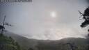 ./images/calvert/fitz-hugh-hecate/20250628/fitz-hugh-hecate20250628_081011M.jpg
