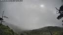 ./images/calvert/fitz-hugh-hecate/20250628/fitz-hugh-hecate20250628_085510M.jpg