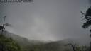 ./images/calvert/fitz-hugh-hecate/20250628/fitz-hugh-hecate20250628_090008M.jpg