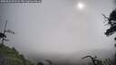 ./images/calvert/fitz-hugh-hecate/20250628/fitz-hugh-hecate20250628_091508M.jpg