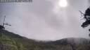 ./images/calvert/fitz-hugh-hecate/20250628/fitz-hugh-hecate20250628_092510M.jpg