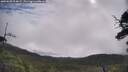 ./images/calvert/fitz-hugh-hecate/20250628/fitz-hugh-hecate20250628_094008M.jpg