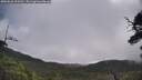 ./images/calvert/fitz-hugh-hecate/20250628/fitz-hugh-hecate20250628_094510M.jpg
