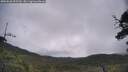 ./images/calvert/fitz-hugh-hecate/20250628/fitz-hugh-hecate20250628_095510M.jpg